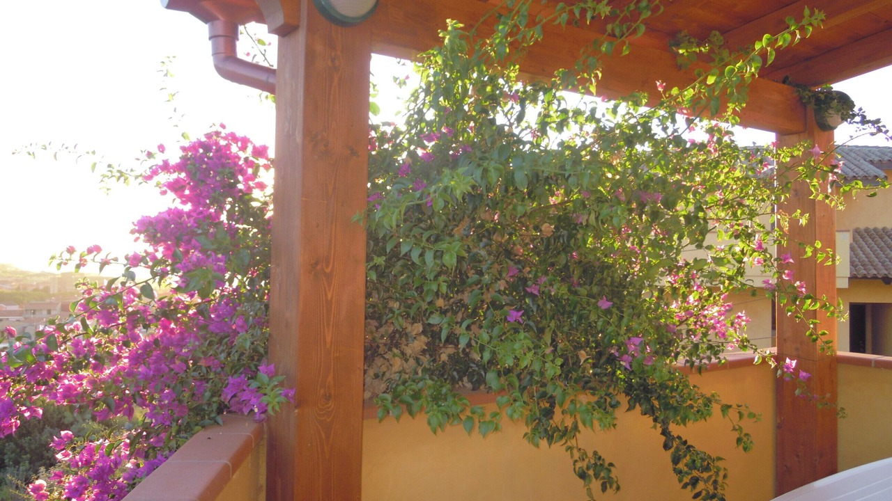 Photo of Outdoor in Lu Bagnu
