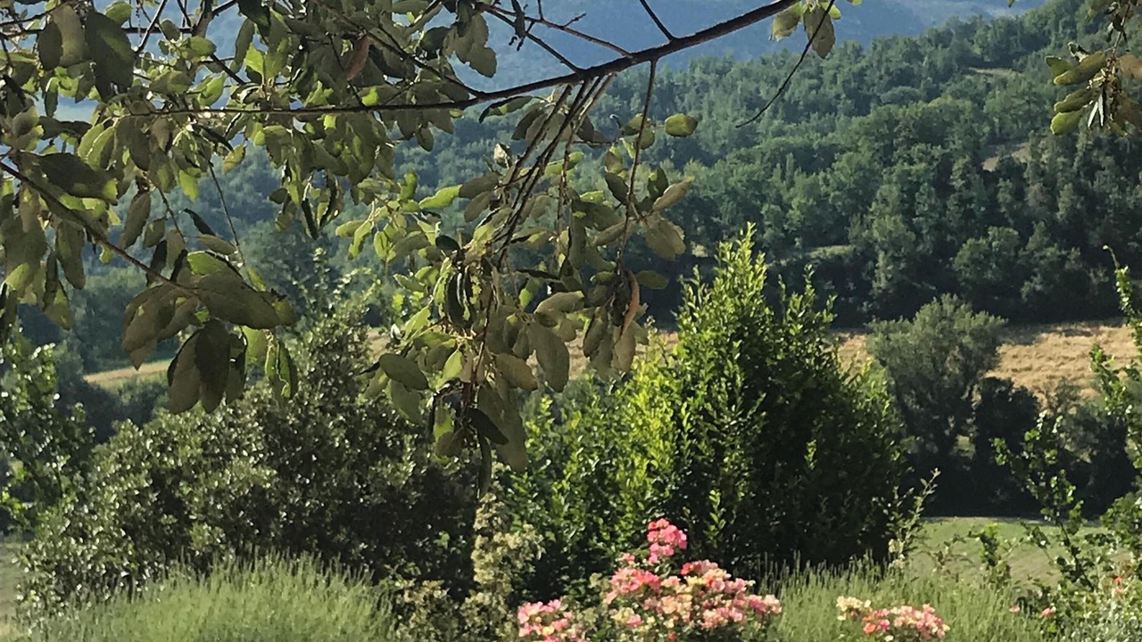 Photo of Outdoor in Sellano