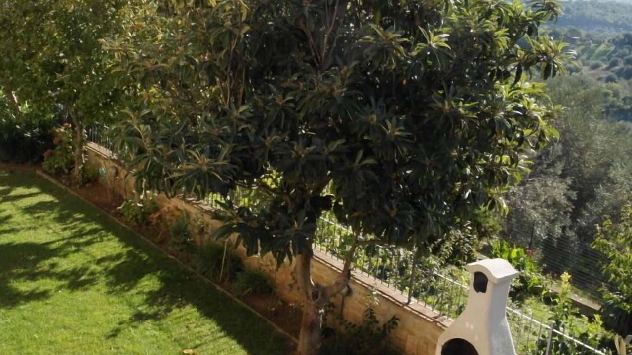 Photo of Patio Balcony in Caldana