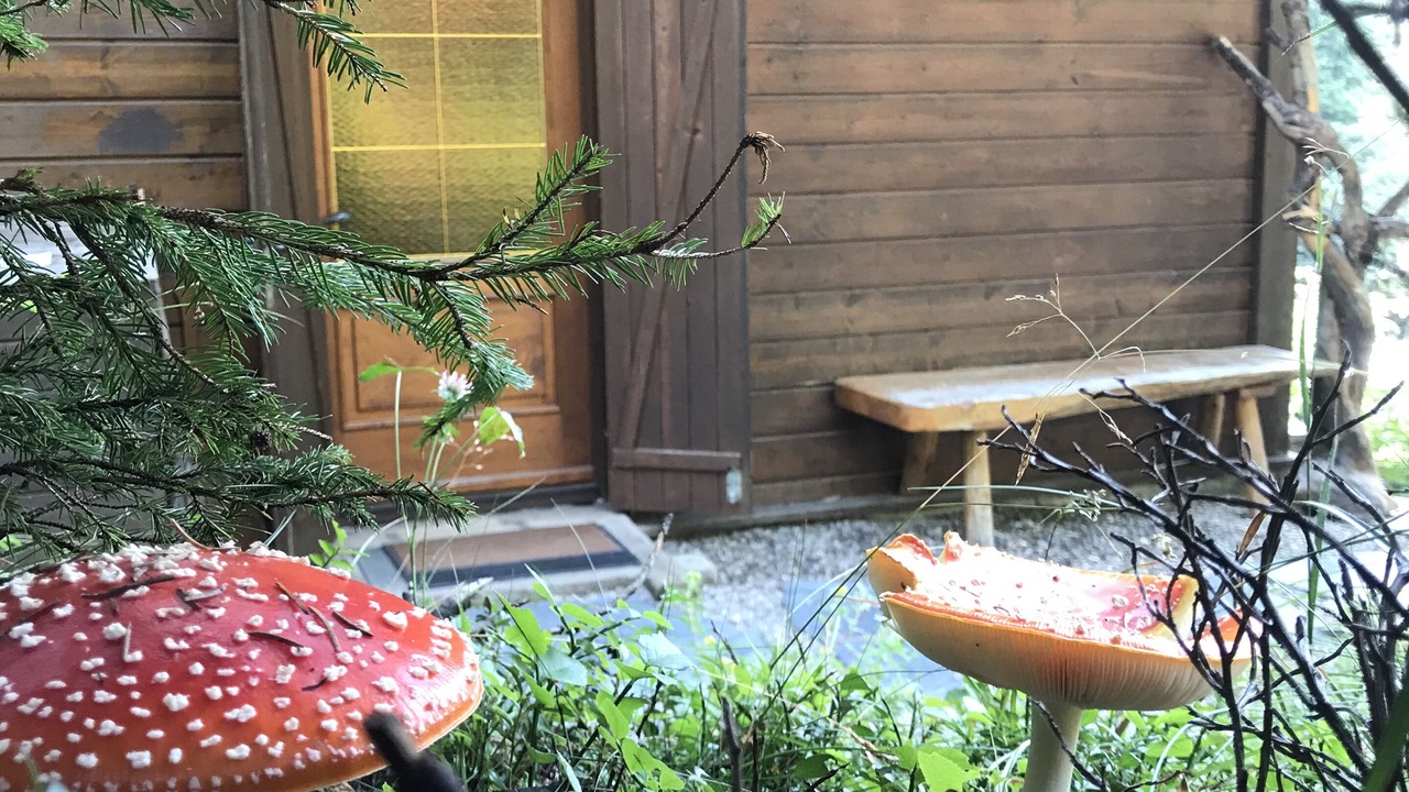 Photo of Outdoor in Casola