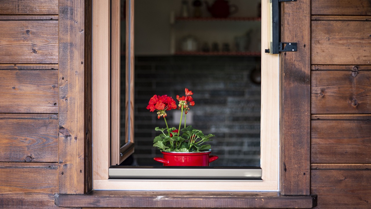 Photo of Outdoor in Casola