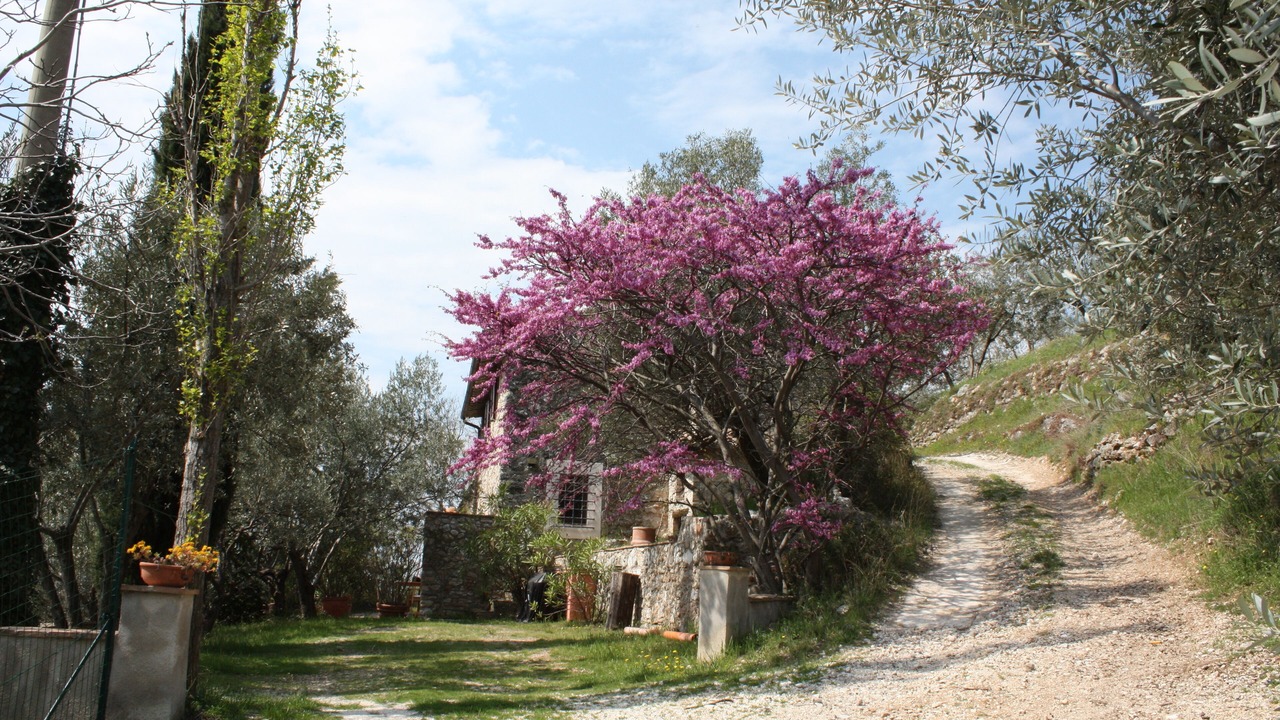 Photo of Others in Bovara