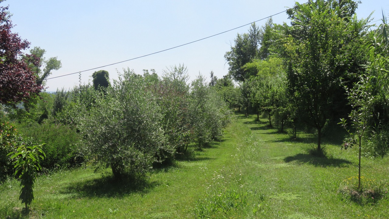 Photo of Outdoor in Murisengo