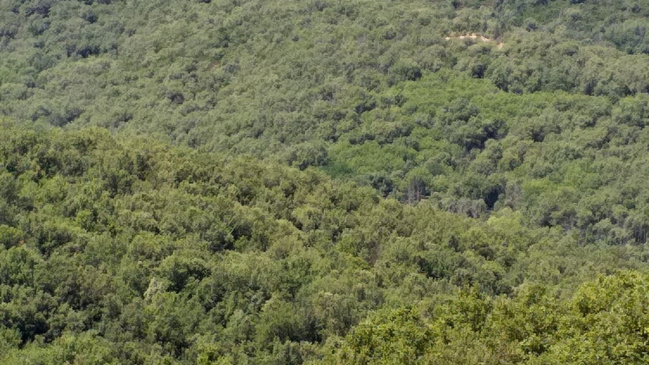 Photo of Outdoor in Aritzo