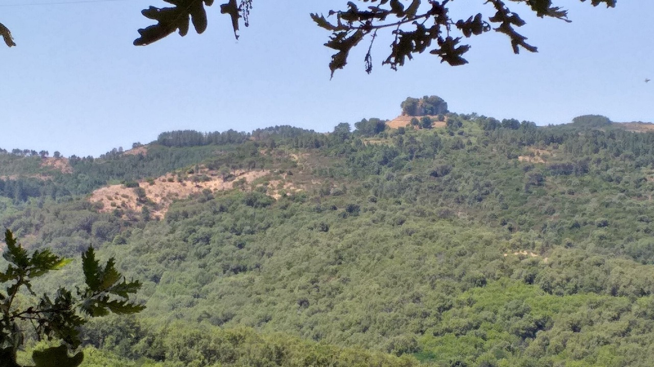 Photo of Outdoor in Aritzo