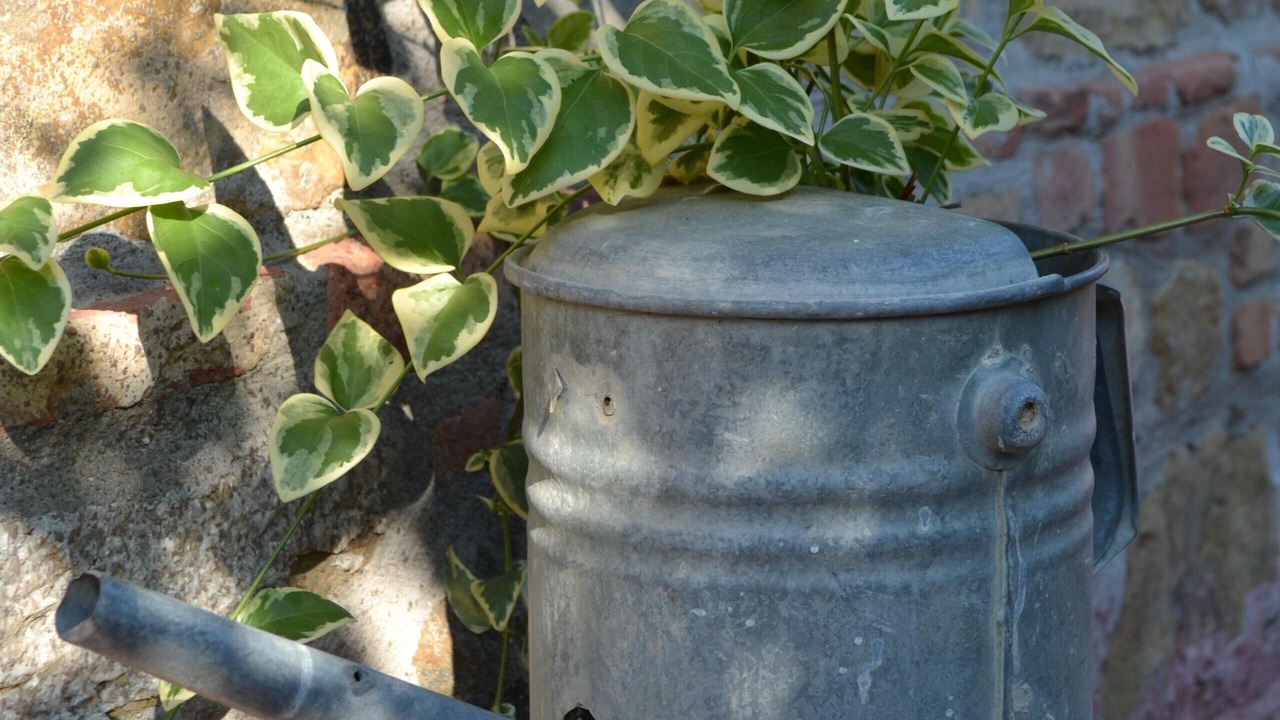 Photo of Outdoor in Paciano