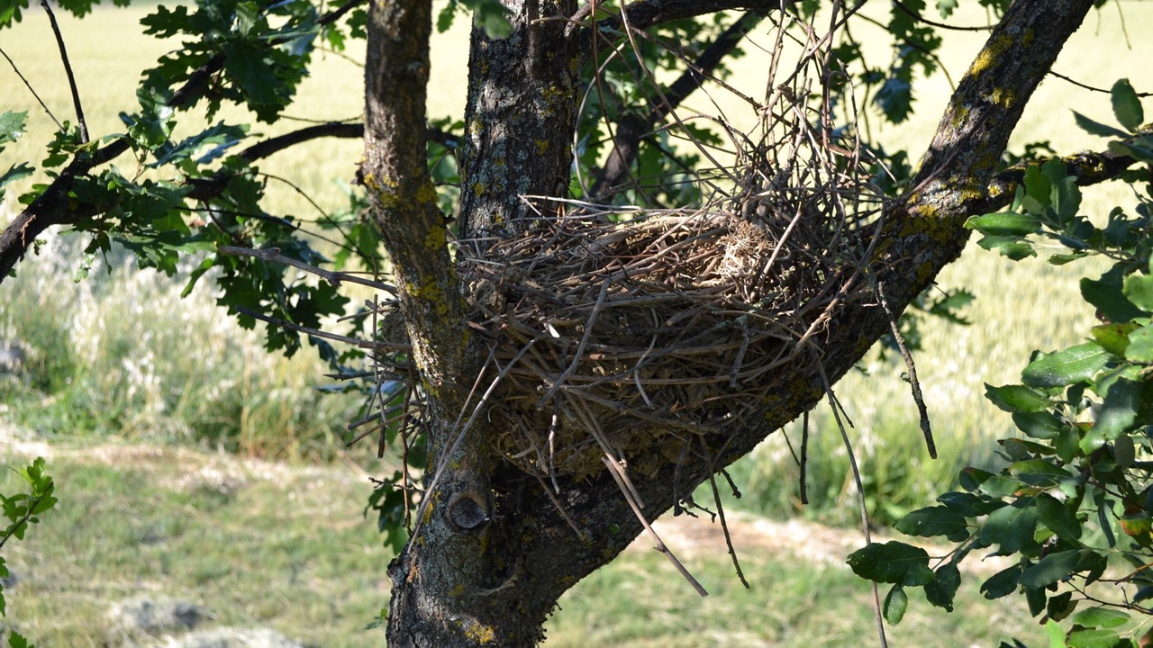 Photo of Outdoor in Paciano