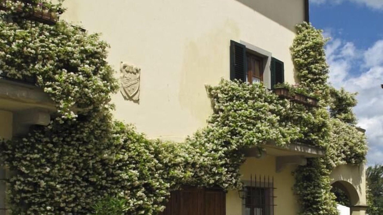 Photo of Others in Gambassi Terme