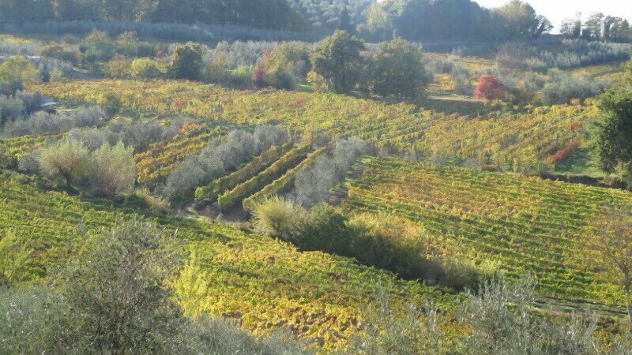 Photo of Outdoor in Gambassi Terme
