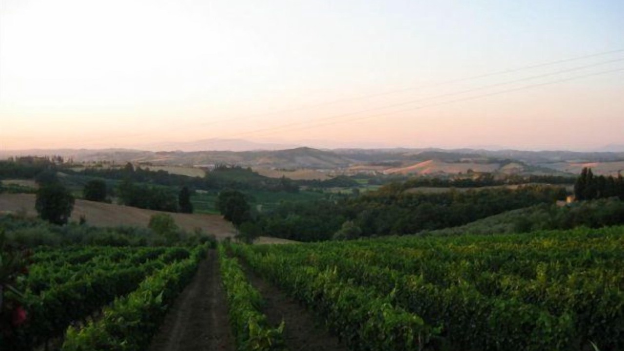 Photo of Outdoor in Gambassi Terme