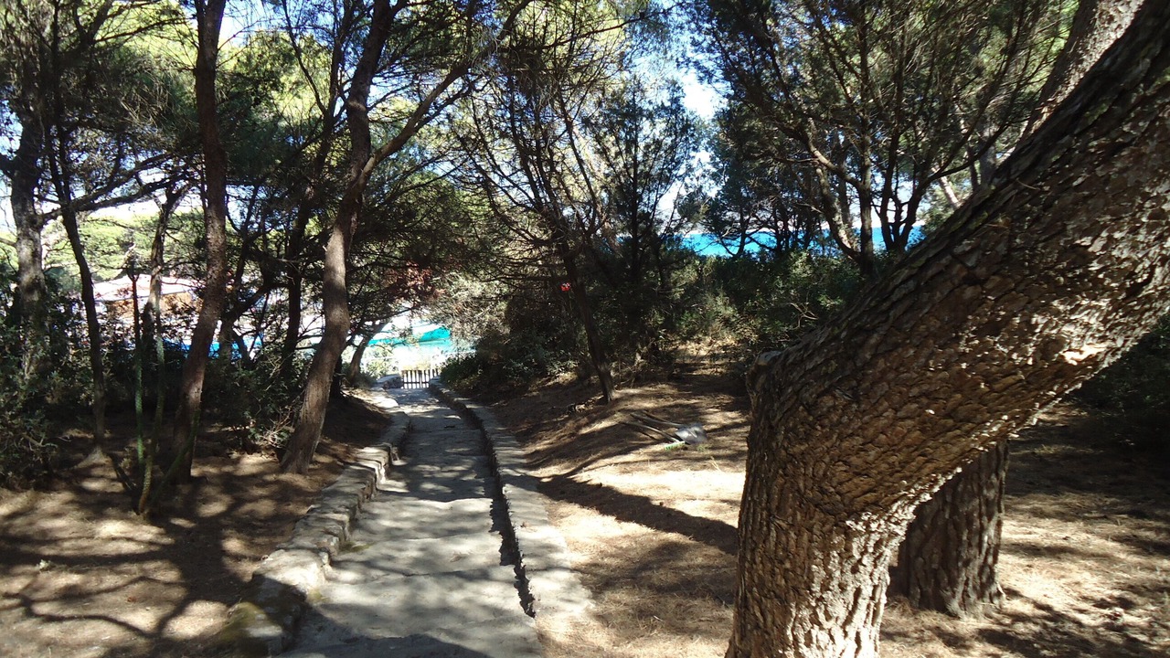 Photo of Outdoor in Porto Pino