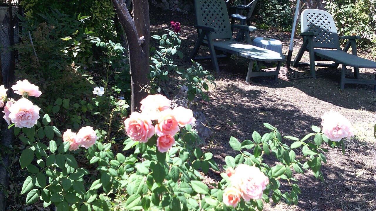 Photo of Outdoor in Scauri