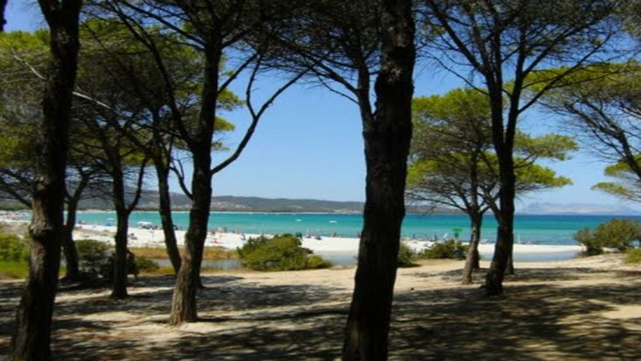 Photo of Others in Tanaunella