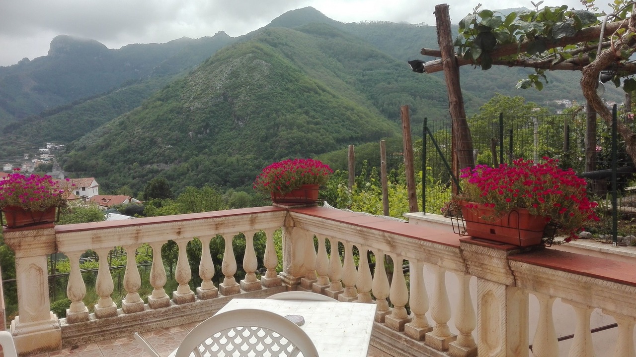 Photo of Outdoor in Campinola