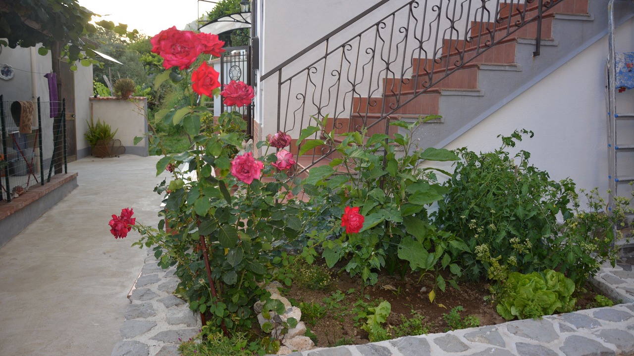 Photo of Outdoor in Campinola