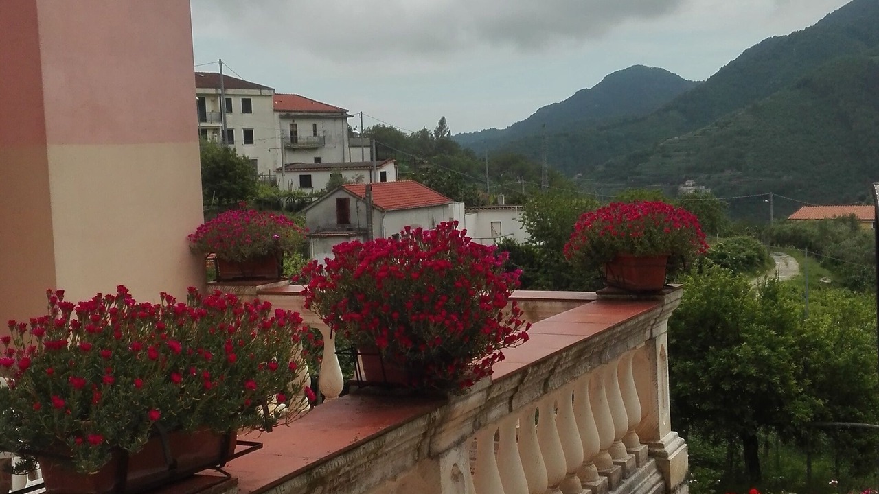 Photo of Outdoor in Campinola