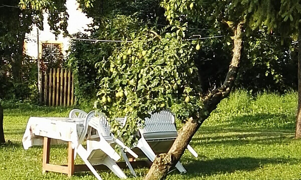 Photo of Outdoor in Romeno