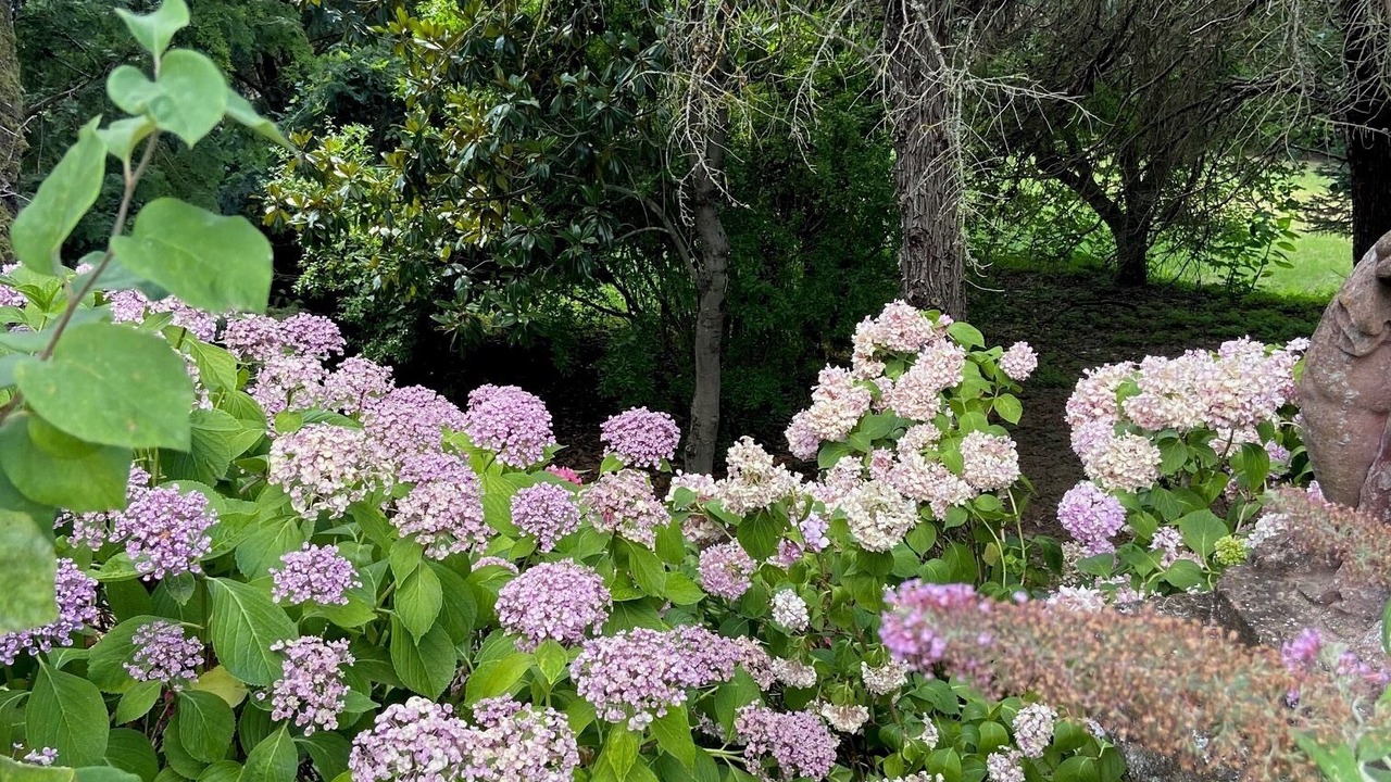 Photo of Outdoor in Acqui Terme