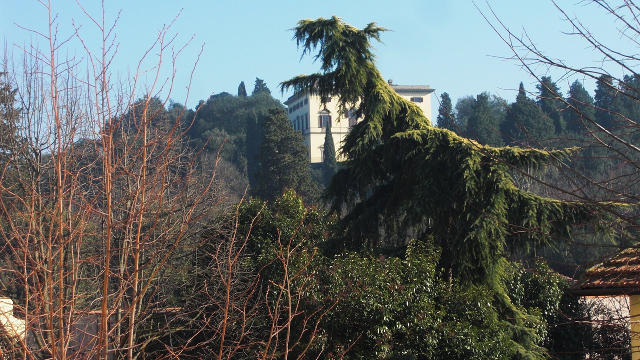 Photo of Outdoor in Isolotto