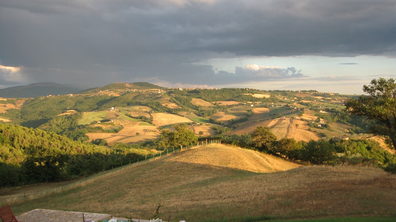 Photo of Others in Collazzone