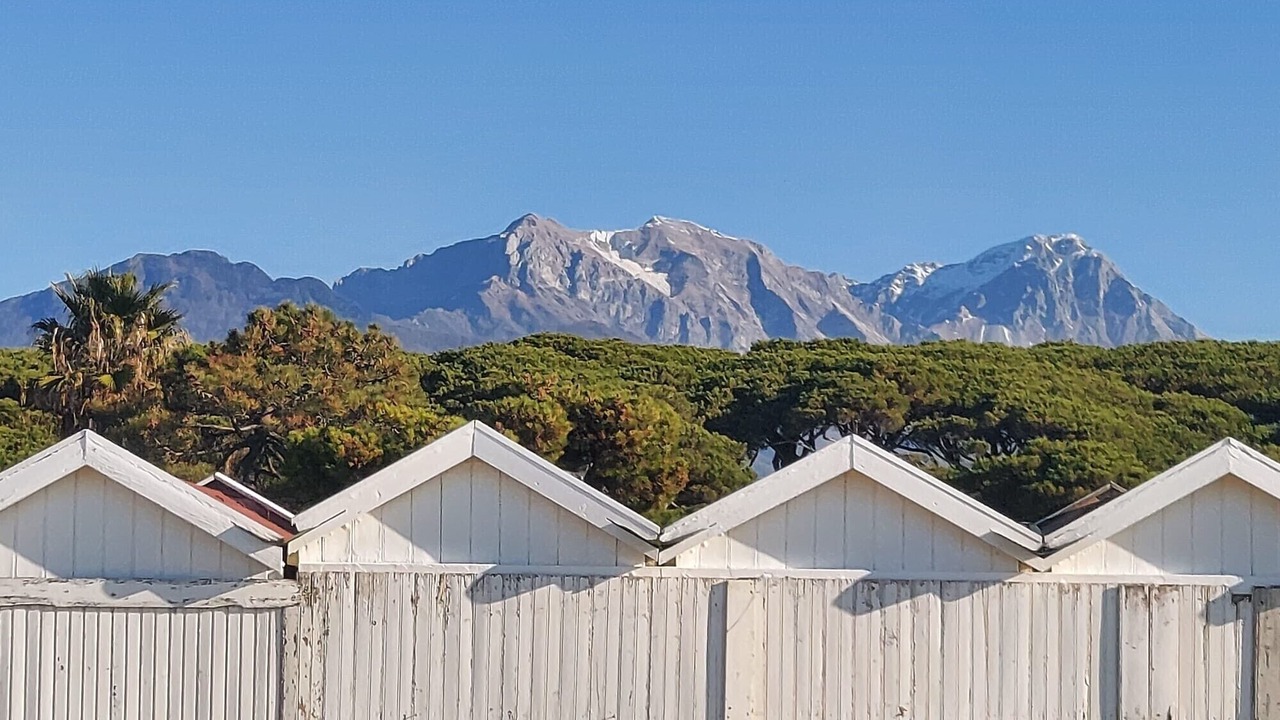 Photo of Outdoor in Cinquale