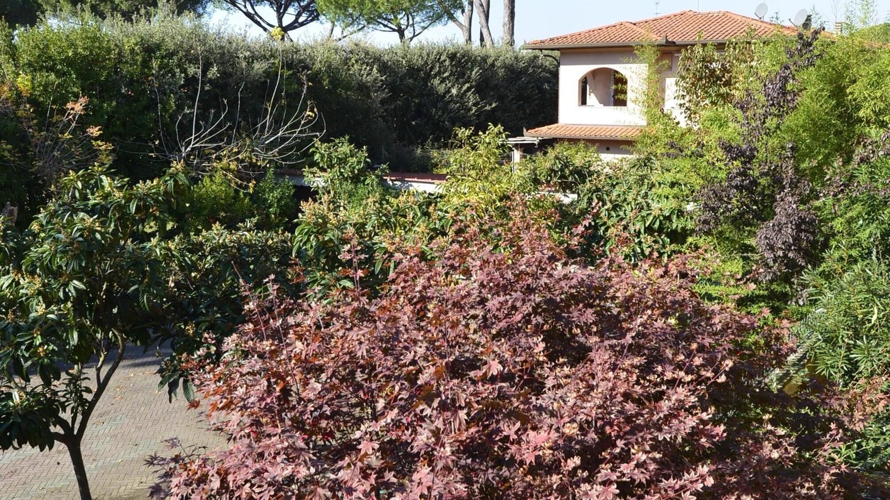 Photo of Outdoor in Cinquale