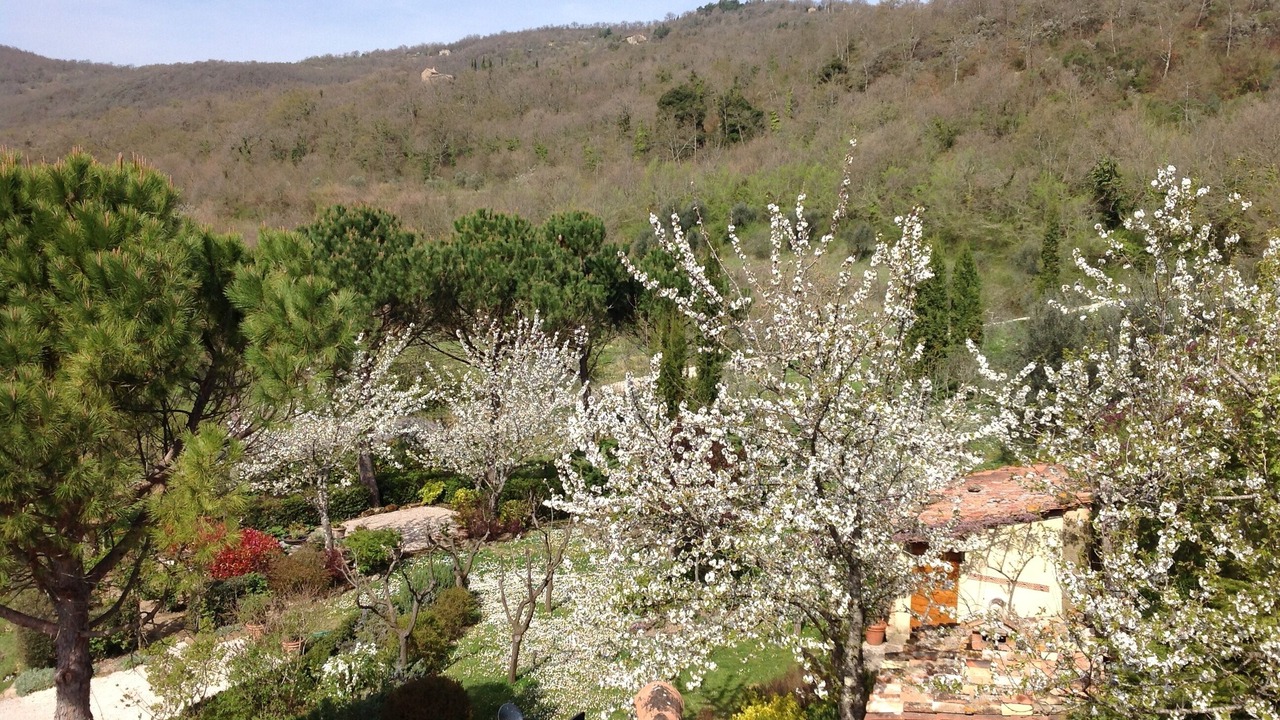 Photo of Outdoor in Bivio Lugnano
