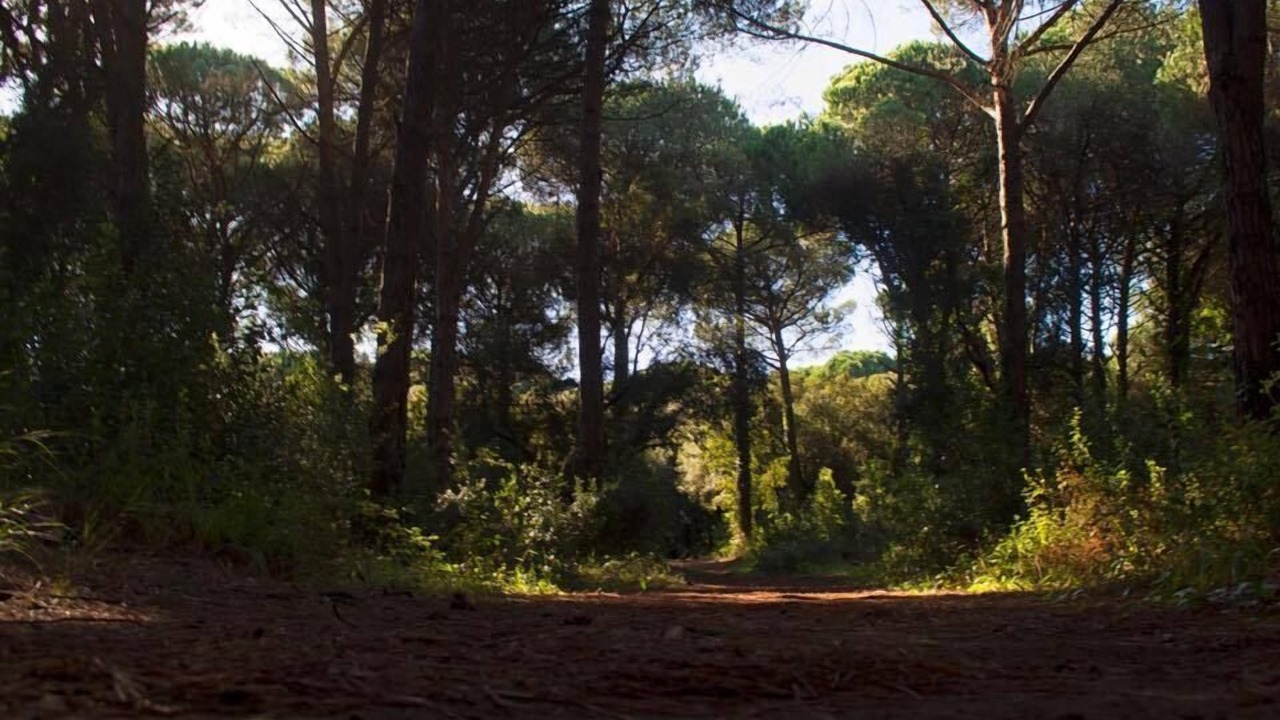 Photo of Outdoor in Quartiere XXXIII Lido di Ostia Ponente