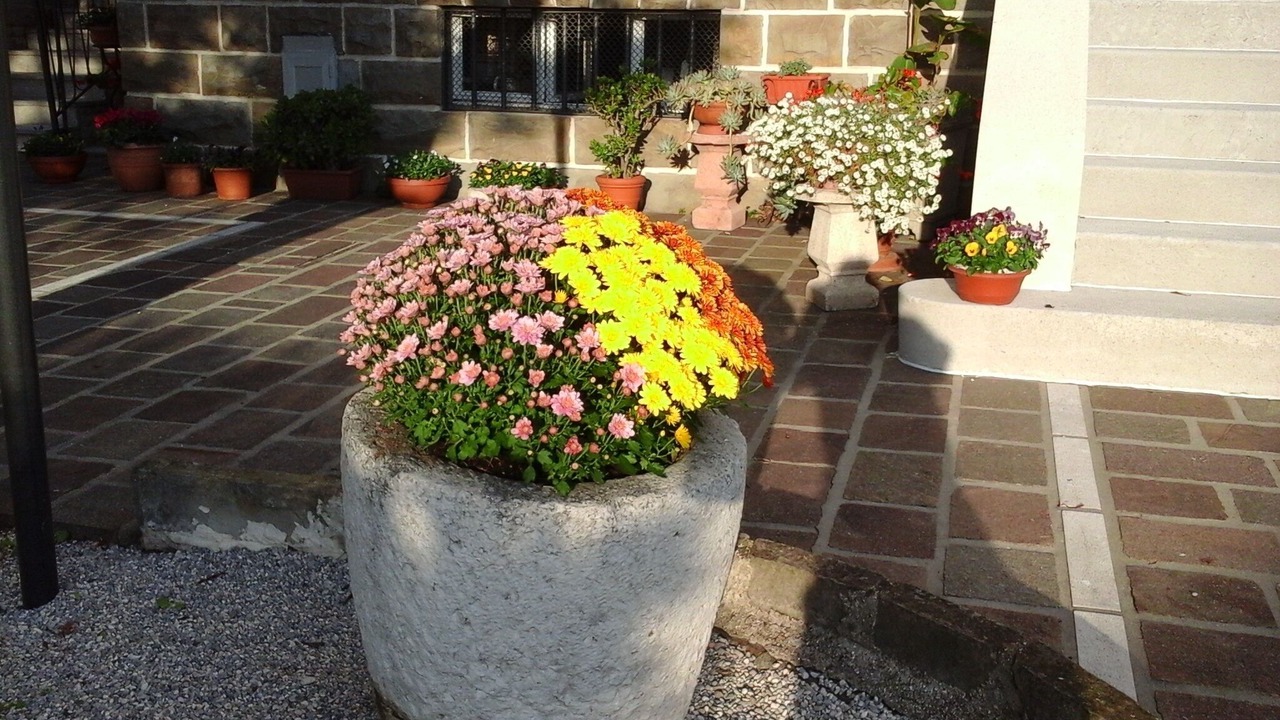 Photo of Outdoor in Servola-Chiarbola-Valmaura-Borgo San Sergio