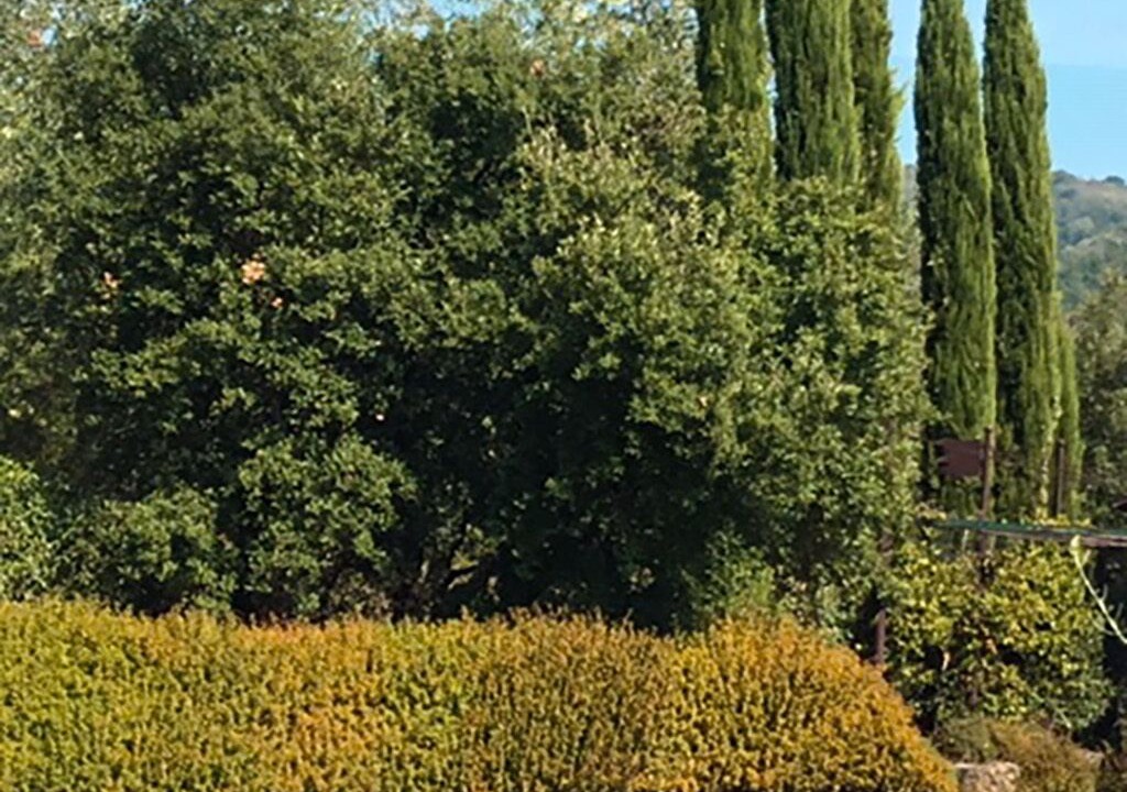 Photo of Outdoor in Saturnana