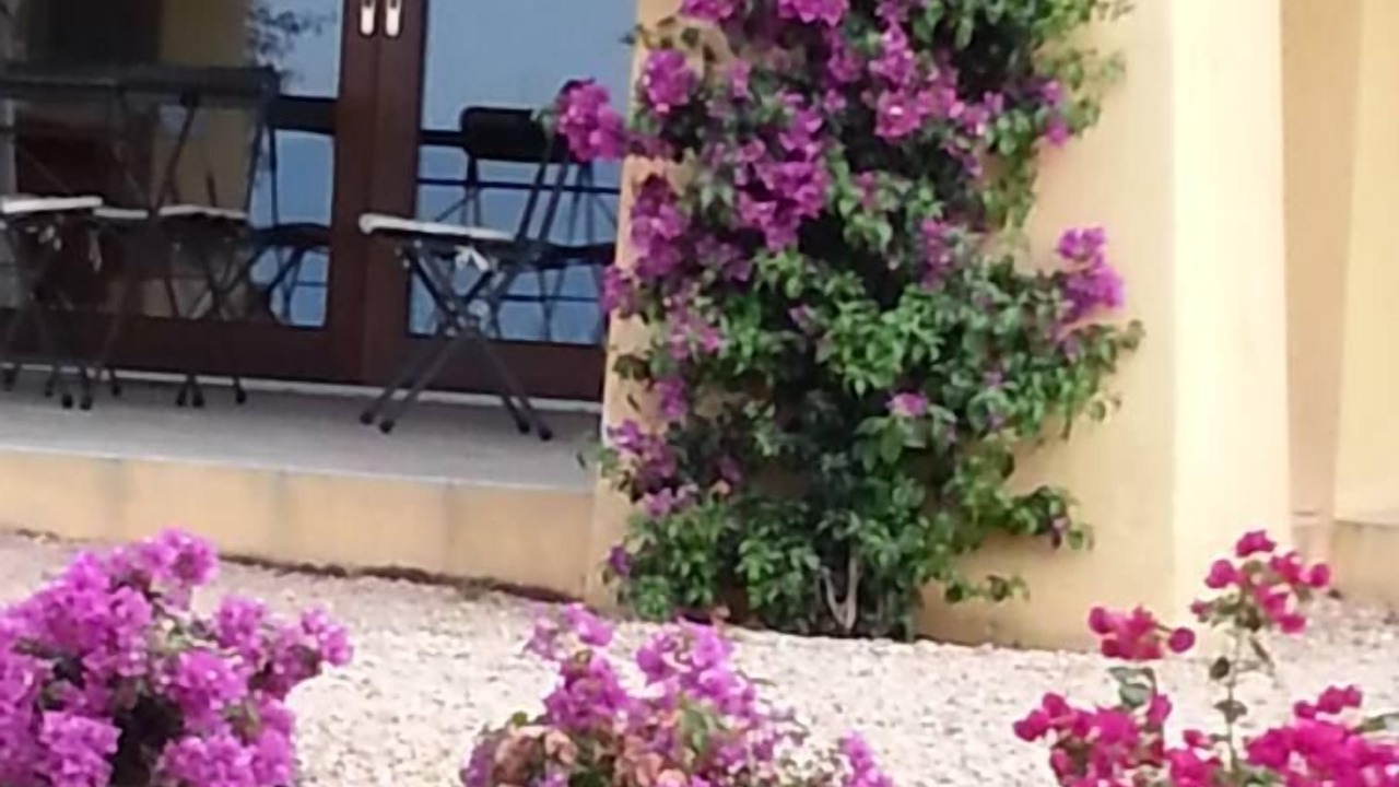 Photo of Outdoor in Golfo Aranci