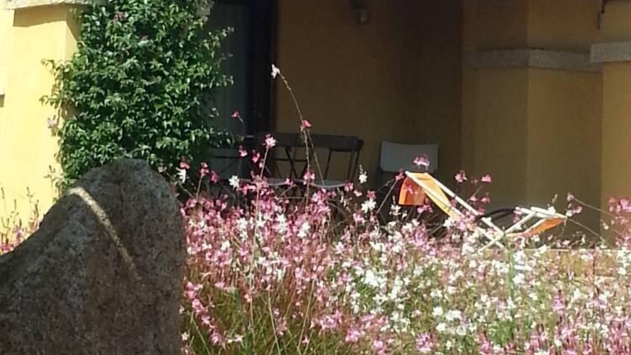 Photo of Outdoor in Golfo Aranci