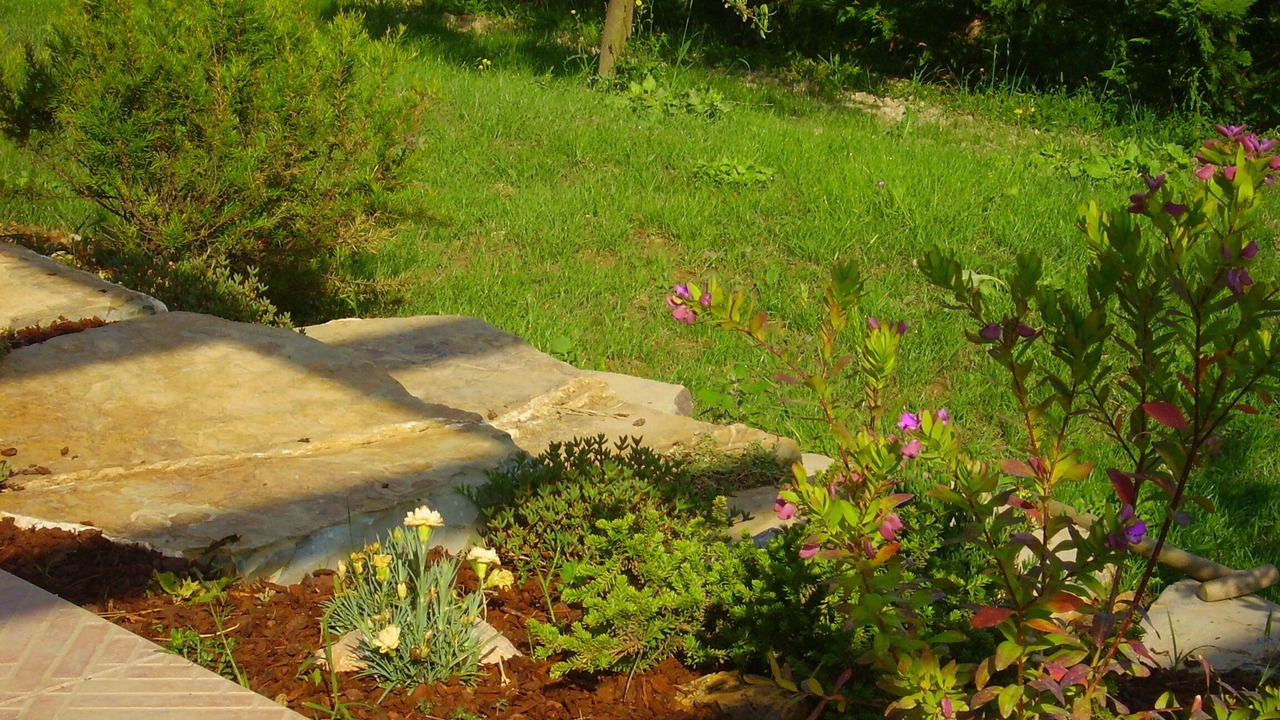 Photo of Outdoor in Marsiliana
