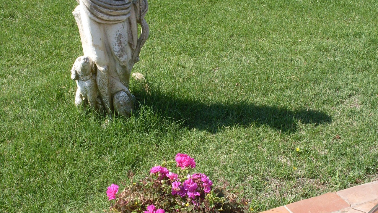 Photo of Outdoor in Marsiliana