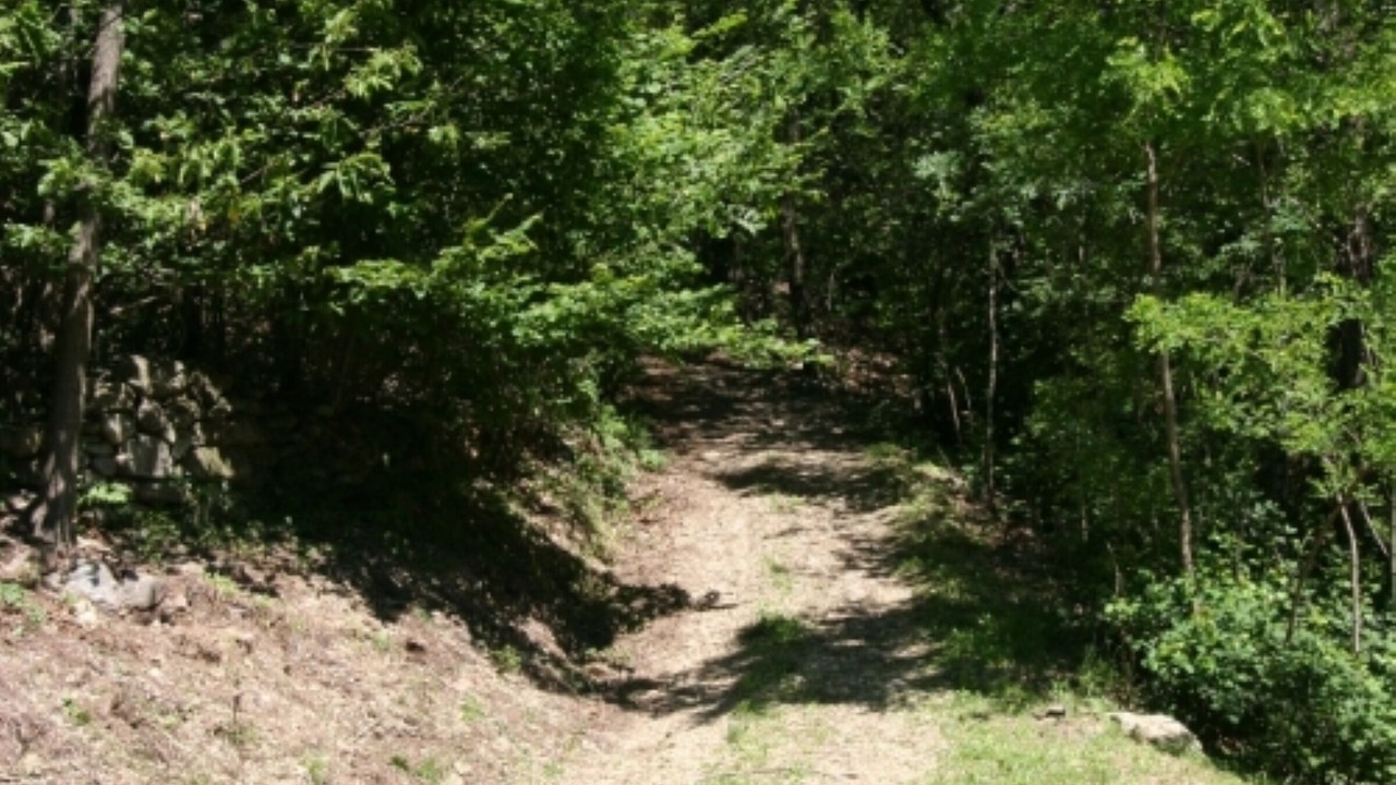 Photo of Others in Sorico
