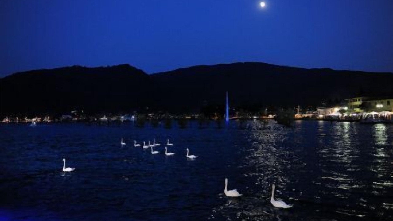 Photo of Others in Sarnico
