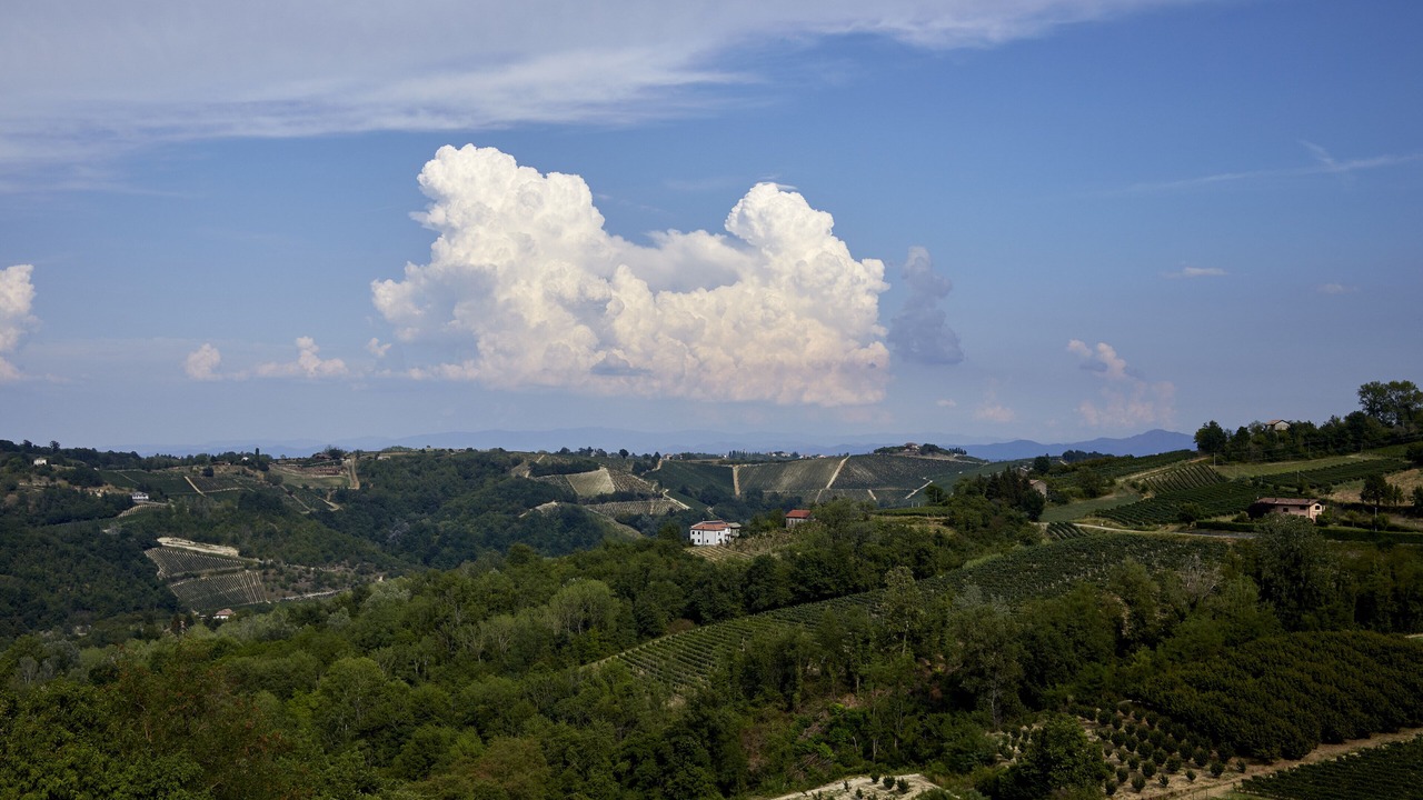 Photo of Outdoor in Montabone