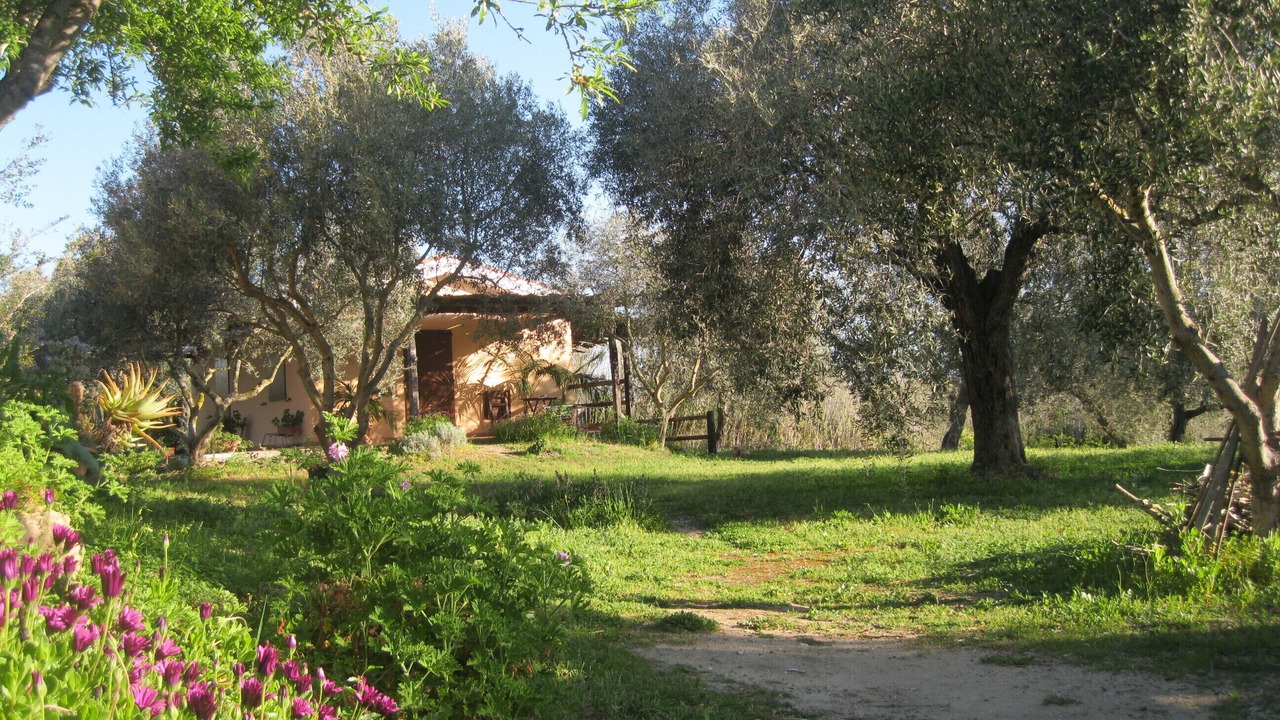 Photo of Outdoor in Cabras