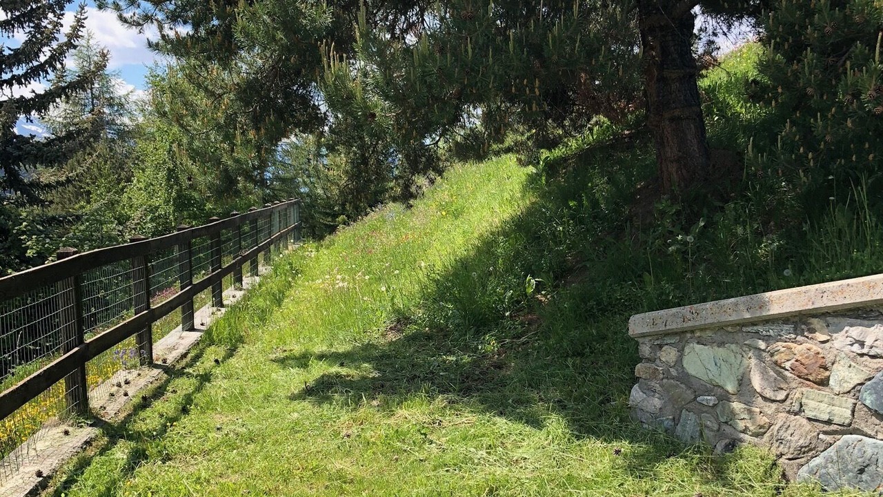 Photo of Outdoor in Plein Soleil