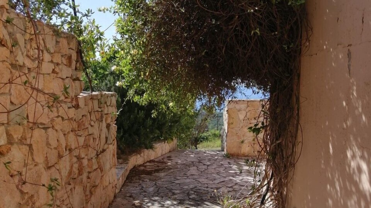 Photo of Outdoor in Eden Rock
