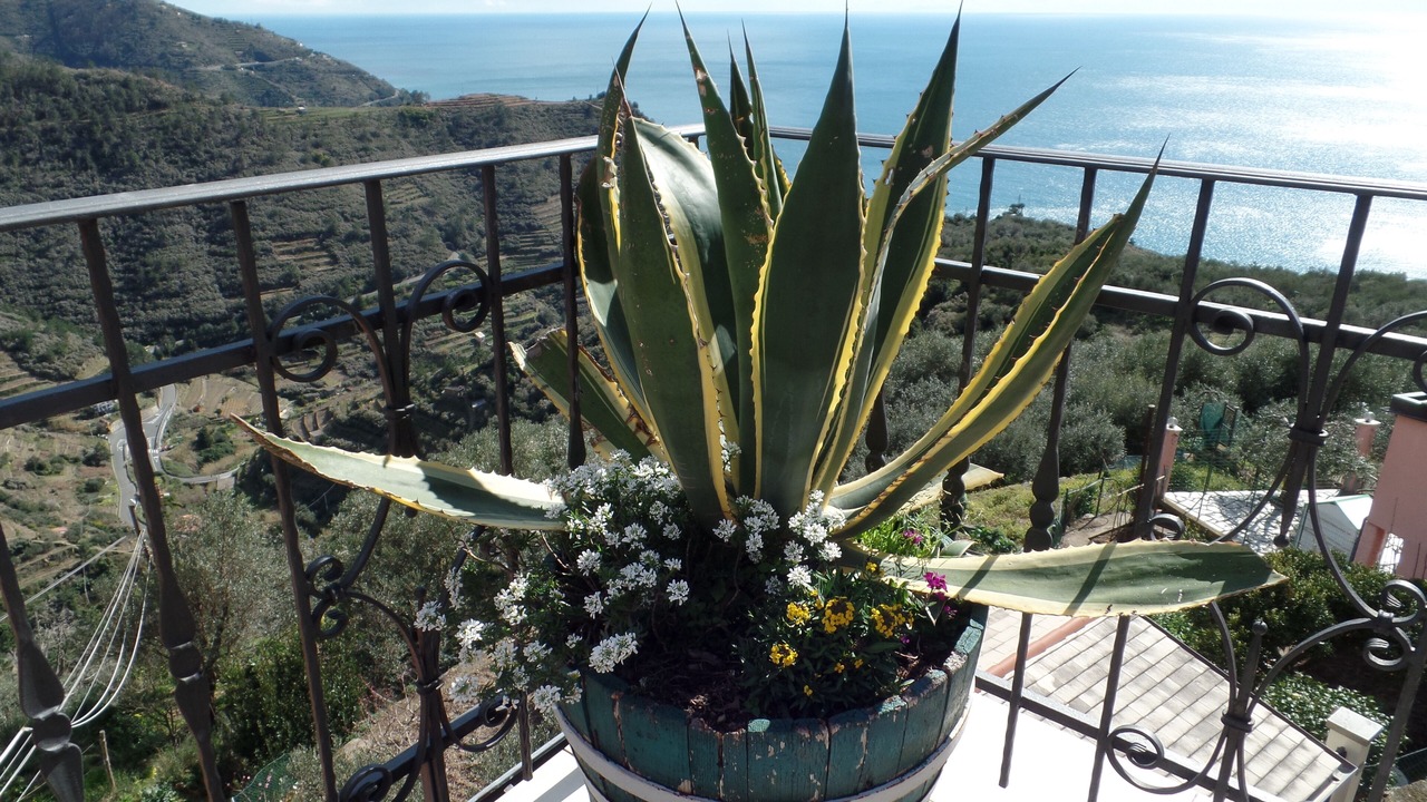 Photo of Outdoor in Volastra