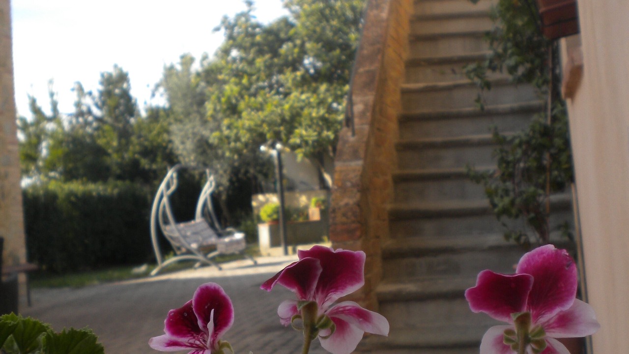 Photo of Outdoor in Gambassi Terme