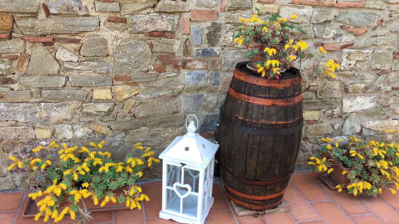 Photo of Outdoor in Gambassi Terme