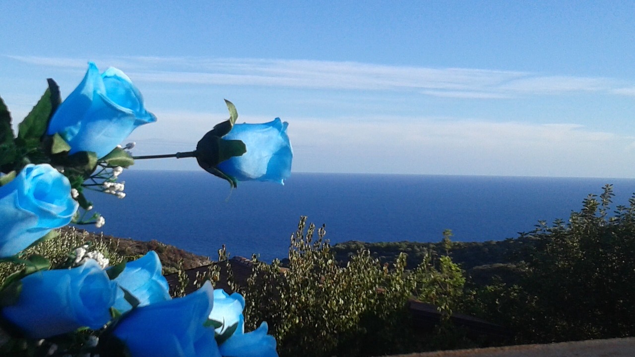 Photo of Others in Marina Di Camerota