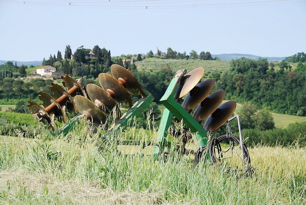 Photo of Others in Castelfiorentino