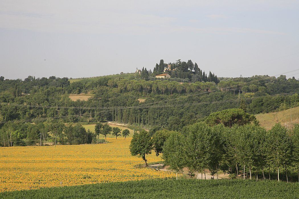 Photo of Others in Castelfiorentino