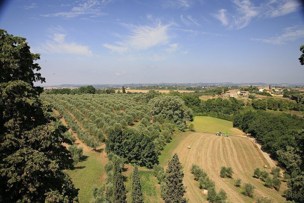 Photo of Outdoor in Castelfiorentino