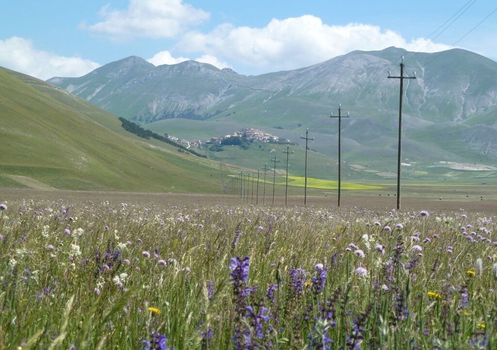 Photo of Others in Montefalcone Appennino