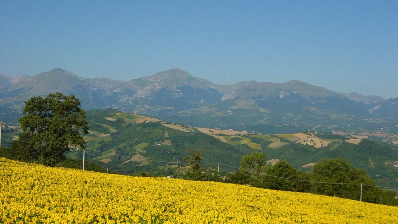 Photo of Others in Montefalcone Appennino