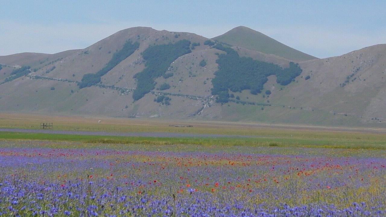 Photo of Others in Montefalcone Appennino